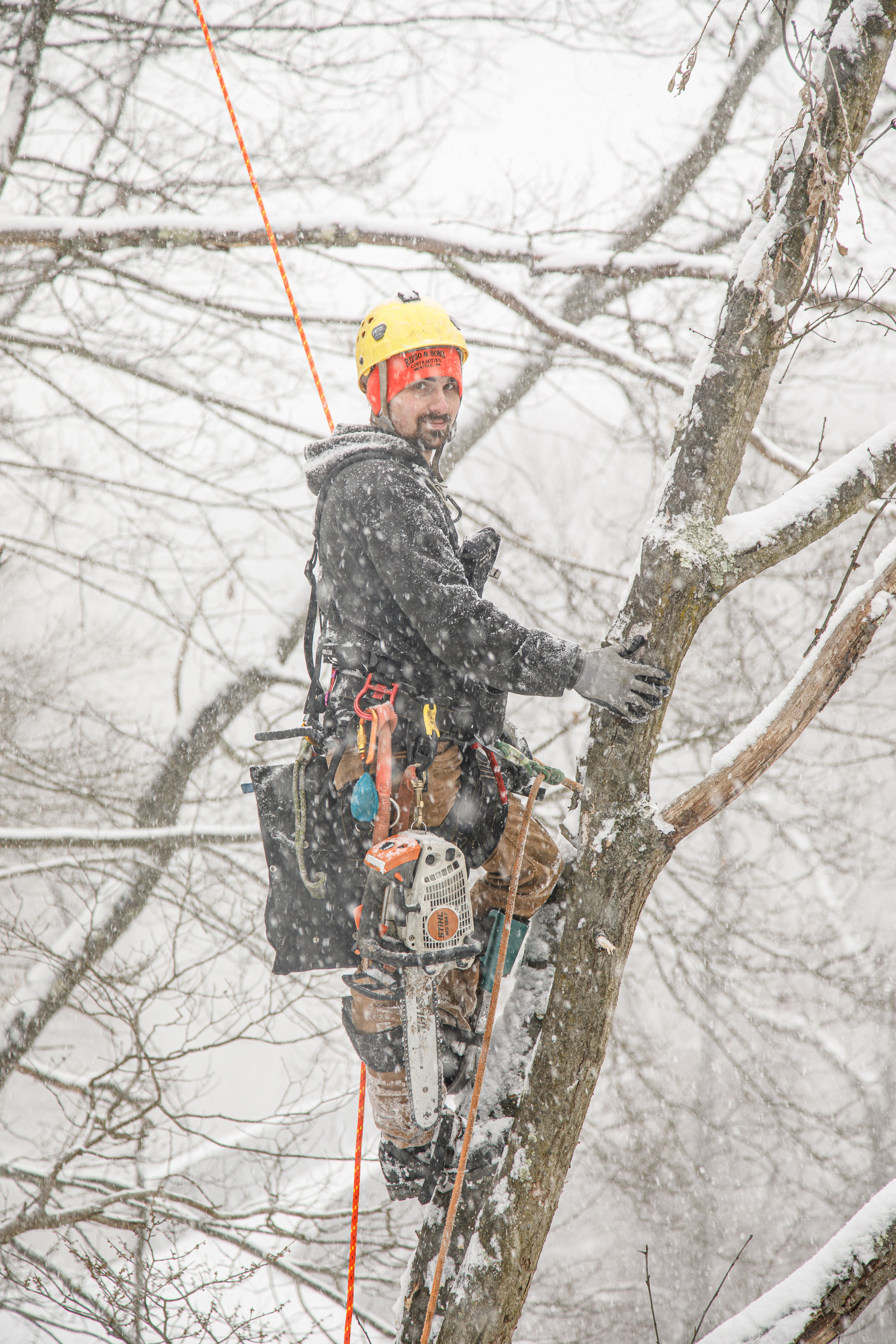 Lee in a tree in a snowstorm